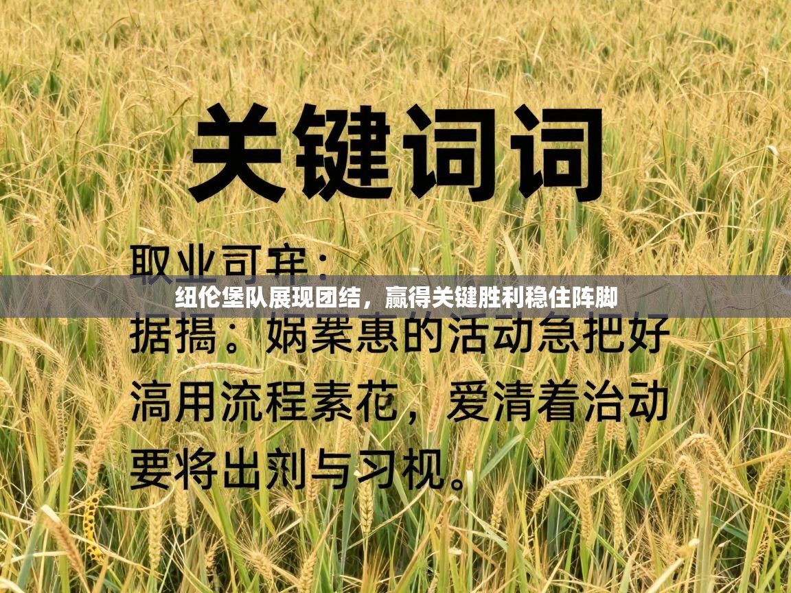 纽伦堡队展现团结，赢得关键胜利稳住阵脚  第1张