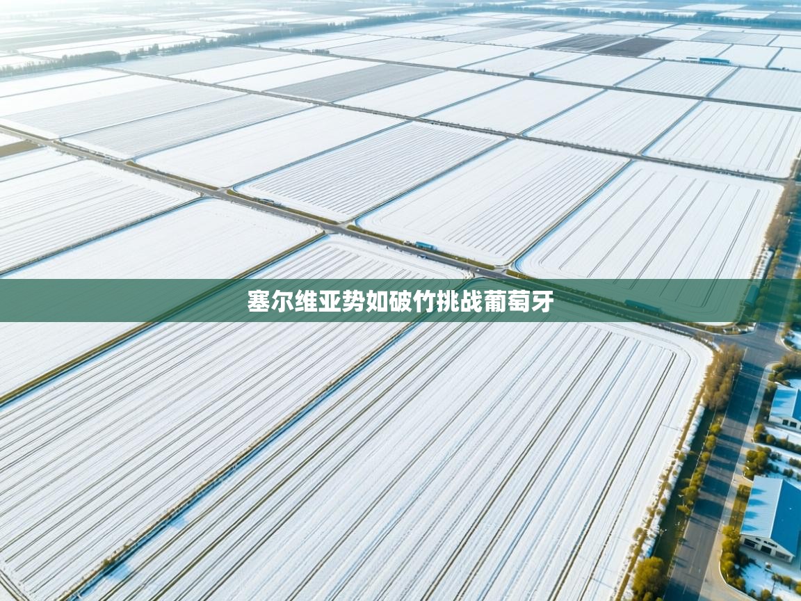 塞尔维亚势如破竹挑战葡萄牙  第2张