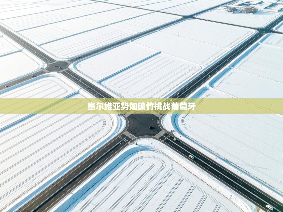 塞尔维亚势如破竹挑战葡萄牙  第1张