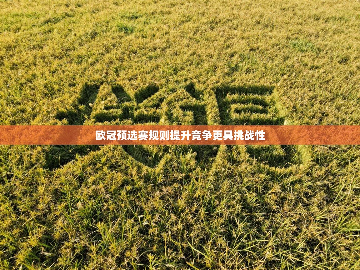 欧冠预选赛规则提升竞争更具挑战性 第2张